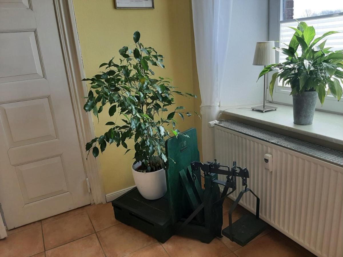 Schoene Ferienwohnung Im Alten Gasthaus In Stoltebuell Luaran gambar
